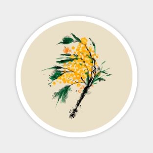 Watercolour mimosa flower Magnet